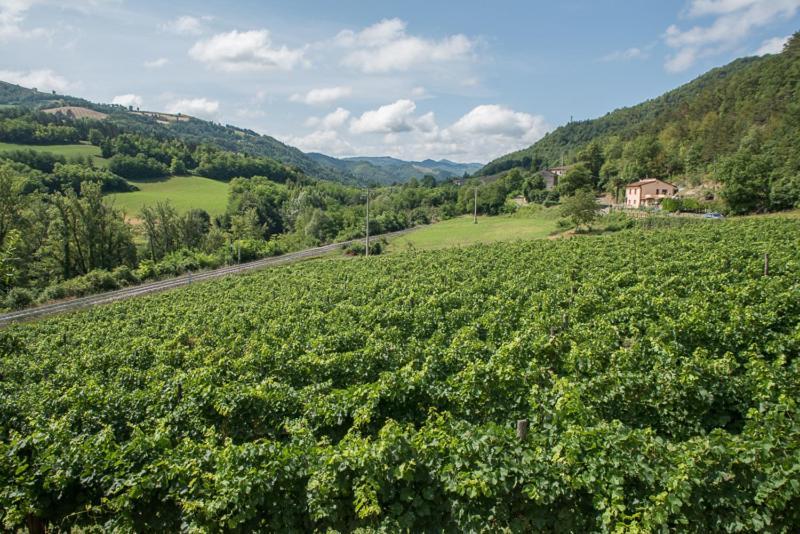 Agriturismo Pedrosola Brisighella Eksteriør billede