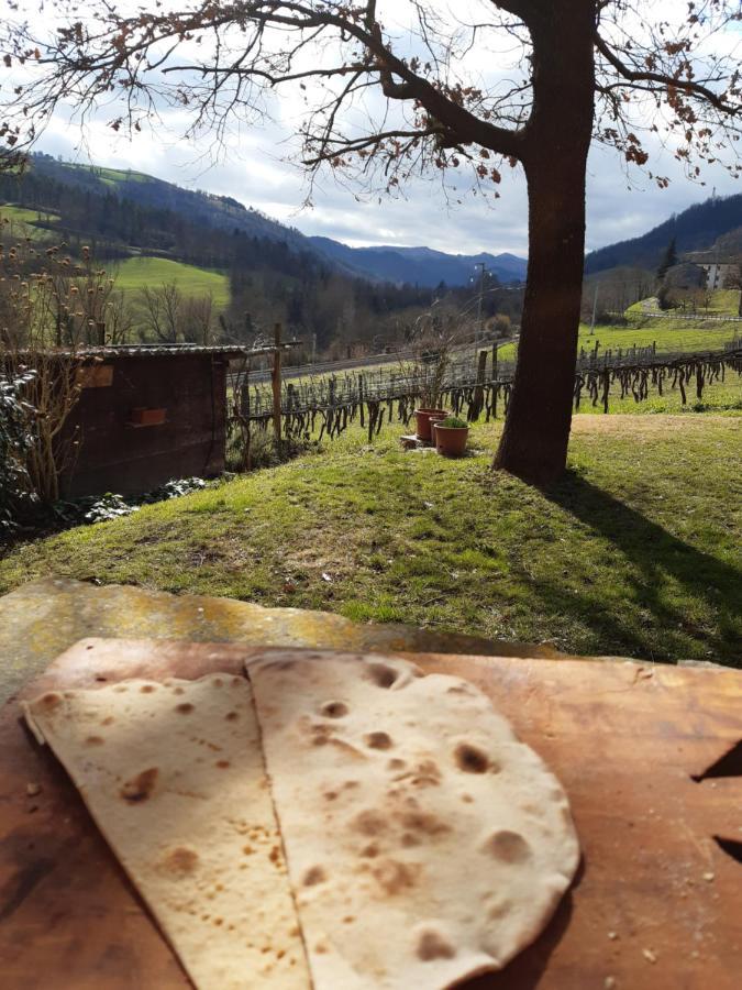 Agriturismo Pedrosola Brisighella Eksteriør billede