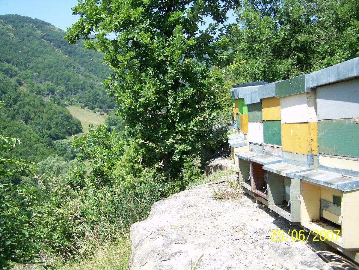 Agriturismo Pedrosola Brisighella Eksteriør billede